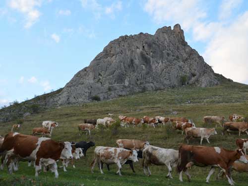 Foto Cetatea Coltesti (c) Petru Goja